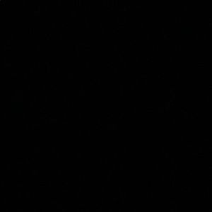 Meet your Posher, Riley